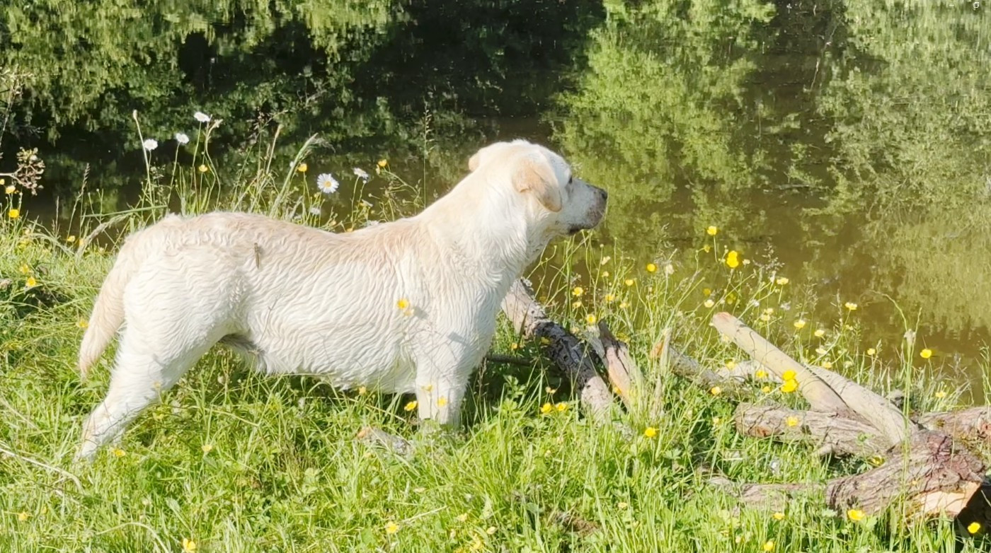 Unny du jardin de boheme